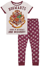 Universal studios harry for sale  BIRKENHEAD