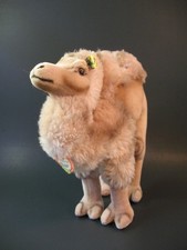 1960 steiff cosy for sale  Charlottesville