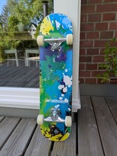 Einsteiger skateboard enuff gebraucht kaufen  Uelzen