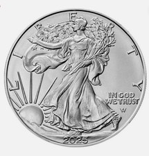 Silver 2025 american for sale  USA