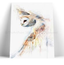 Barn owl canvas for sale  RYTON