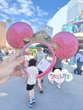 Disney parks sleeping for sale  Wesley Chapel