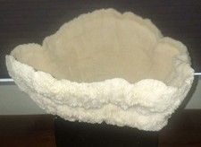Exquisite extra large for sale  Denver