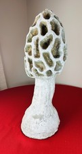 Concrete morel mushroom for sale  Lakeville