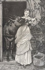 Jeune femme ânesse d'occasion  Marseille X