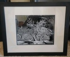 Snowy tree ansel for sale  Kalispell
