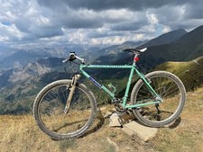 Bianchi colore verde usato  Imperia