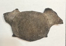 Extinct baleen whale for sale  Bamberg