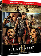 Blu ray gladiatore usato  Italia