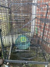 Cozy pet rodent for sale  ACCRINGTON