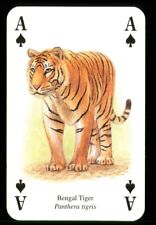 Playing card bengal for sale  EASTBOURNE