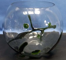 Fish tank bowl for sale  Miami Beach