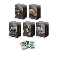 Huzzle cast puzzle usato  Spedire a Italy