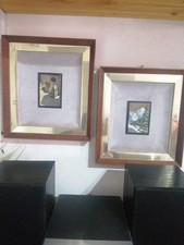 Coppia quadri dipinto usato  Catania