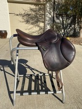 Amerigo vega salta for sale  Madison