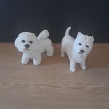 Leonardo bichon frise for sale  BISHOP AUCKLAND