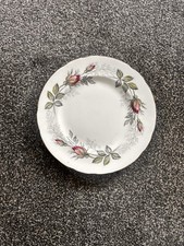 paragon bridal rose for sale paragon bridal rose for sale HAILSHAM