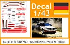 Decal rally hunsruck usato  Catania
