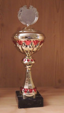 Wanderpokal 5cm emblem gebraucht kaufen  Niederwerrn