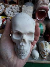 Teschio resina contro usato  Monte di Procida