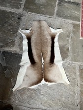 Deer skin hide for sale  PONTEFRACT
