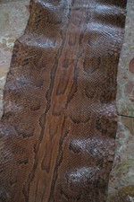 python viridis d'occasion python viridis d'occasion  Neuville-aux-Bois