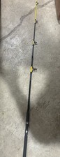 Zebco catfish fighter for sale  Dedham