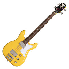 Ware epiphone newport gebraucht kaufen  Schongau