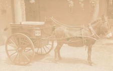 Untitled pony carriage for sale  WIRRAL