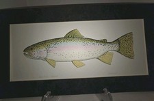 Rainbow trout art for sale  Jacksonville
