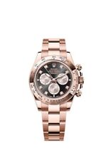Rolex daytona everose gebraucht kaufen  Schwabach