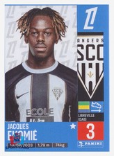 Panini foot 2025 d'occasion  Saint-André-de-Sangonis