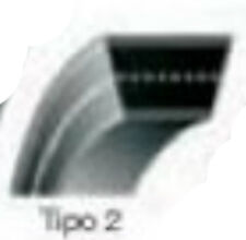 72086 cinghia trasmissione usato  Bisignano