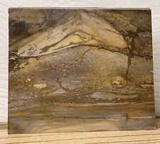 Beautiful display petrified for sale  Spokane