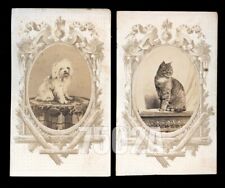 1860s cdv photo for sale  Fisherville