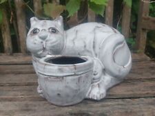 Large heavy cat for sale  BATH