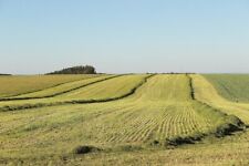 Orchard grass hay for sale  High Point