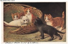 Bfp1 1041 chat d'occasion  France