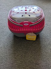 guinea pigs pets for sale guinea pigs pets for sale ROCHESTER