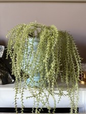 Abigail ahern trailing for sale  LONDON