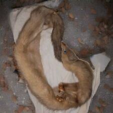 Scaldacollo pelliccia vera usato  Roma