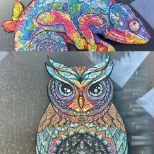 Unidragon owl chameleon for sale  Kohler