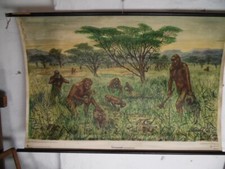 Alte schulwandkarte ddr gebraucht kaufen  Wittenberge