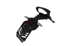 Portatarga triumph speed usato  Italia