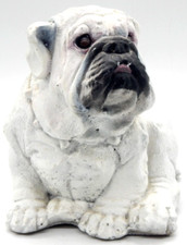 Bulldog concrete statue for sale  Loveland