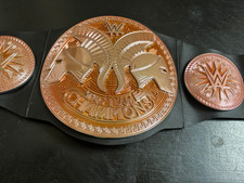 Wwe tag team for sale  Tampa