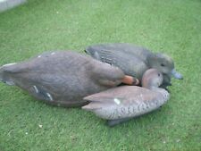 Canards appelant chasse d'occasion  Istres