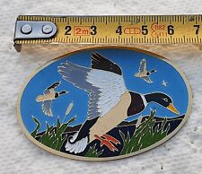 Gros pin ovale d'occasion  Menucourt