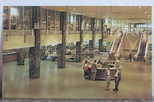 Illinois chicago greyhound for sale  Wilmington