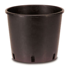 Vaso vivaio nero usato  Prato